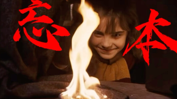Harry Potter Back-to-Roots Series