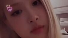 220622 mawar_are_rosie