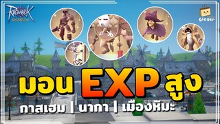 Ragnarok Origin | มอนเตอร์ที่ได้ EXP สูงในตอนนี้และอนาคต
