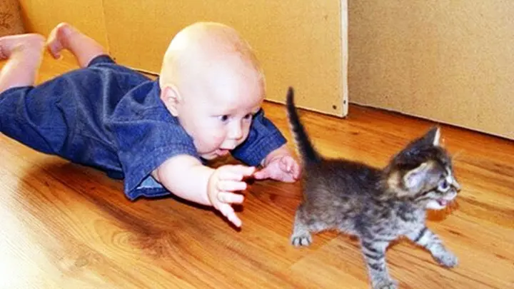 Videos De Risa 2022 nuevos ðŸ˜‚ Animales Graciosos - Adorables BebÃ©s Jugando con Gatos