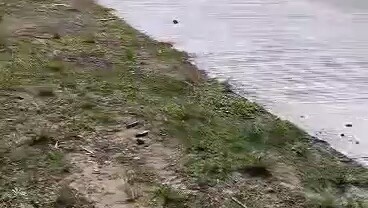 1.8 hectar   San francisco Quezon  1milion tabing hway