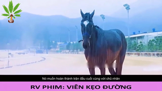Dùng cả mạng sống để bảo vệ danh dự của chủ nhân - Viên Kẹo Đường - Part 5#reviewphim