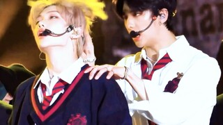 [Trần Phi] "Người ta nói tình yêu của chúng ta là giả tạo"
