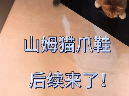 حذاء مخيف على شكل مخلب القط سام! المتابعة قادمة!!!