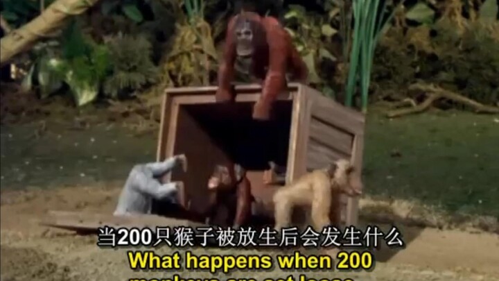 【机器鸡】s1e17 《200只猴子》