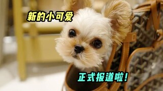 أخبار رائعة! مليون لديه أخ صغير!