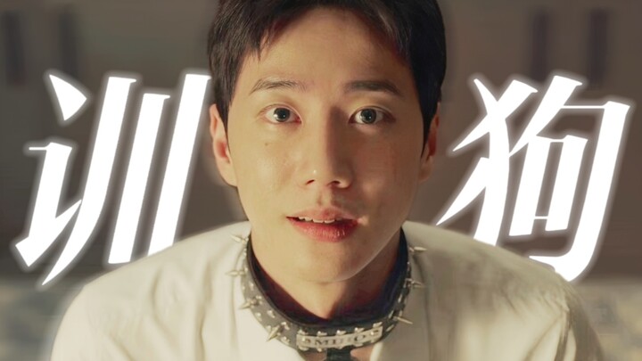 กล้าถ่ายจริงๆ! ครั้งแรกที่ดูคลิปให้ความรู้เชิงวิทยาศาสตร์ของ SM! หมาตัวโยกยอมแพ้เฉพาะเจ้านายเท่านั้น