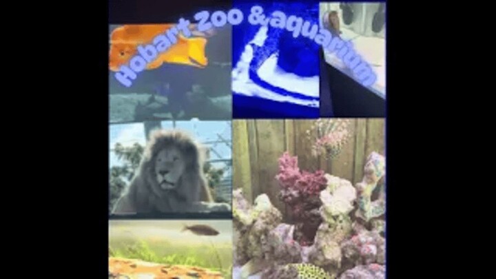 Hobart Zoo and Aquarium