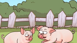 Chắc chắn là thịt khô, không biết là loại thịt gì.