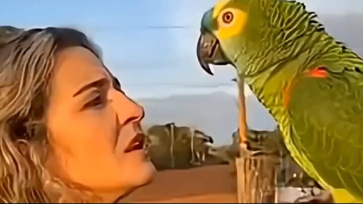 loro, canta igual porta enferrujada