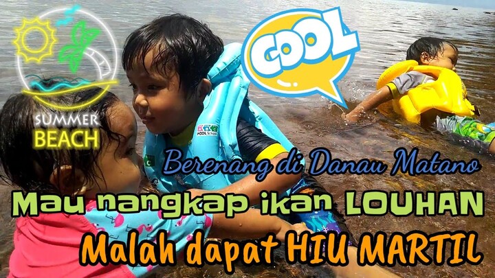 Petualangan seru !! berenang bersama ikan louhan di danau matano
