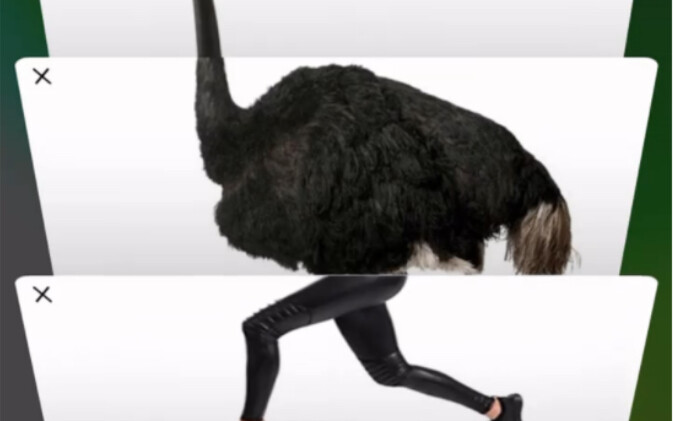 What’s this—sprinkling ostrich??