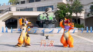 【Fursuit Dance】Okra & Tamba lllTurtin Antenna lll