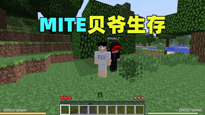 MITE Pak Bei Bertahan Hidup: Sangat Sulit, Awal Permainan Hanya Bisa Mencabut Rumput! Minecraft