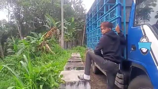 Pigeon racing in the Philippines is not a GAMBLING pls like and follow.team ERPC