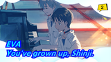 EVA|[Final Chapter]You've grown up, Shinji._2