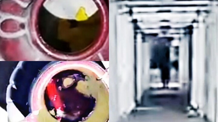 ผจญภัยกลางแจ้ง เสี่ยวหลงพบโรงเรียนศิลปะร้าง กำลังเปิดรับตำแหน่งครูใหญ่ ฝูงมังกรพิโรธ แท่นบูชาแตกสะเท