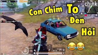 PUBG Mobile _ Mang SET Đồ Khủng Giao Lưu Xem Phản Ứng Của Người Lạ ...và Cái Kết 😆