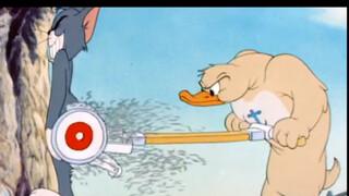 Tom bị ép lên cây và cạo trọc, cười phá lên hahaha