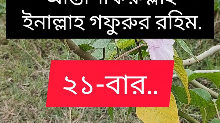 ২১ বার এই দোয়া পড়ুন