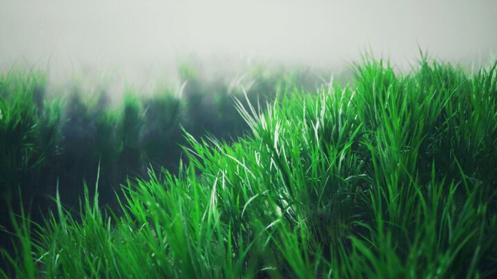 إلى أي مدى يمكن أن يكون لعبة واقعية حقًا؟