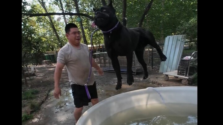 It’s water-play season again! As usual, Shengsheng goes first to set the example—everyone, line up a