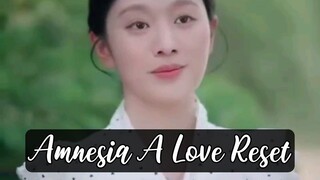 Amnesia A Love Reset
