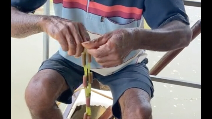 Water lily turned into a necklace
