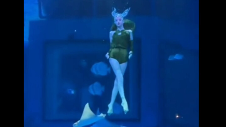 عرض حورية البحر الرائع للغاية