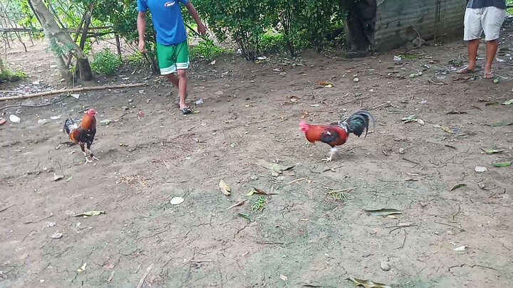 😎👌👌💪