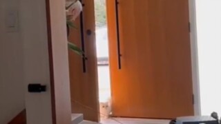 抓到啦
