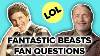 The Cast of Fantastic Beasts Answers Fan Questions