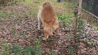 ฉันไม่เข้าใจความสัมพันธ์ของคุณ