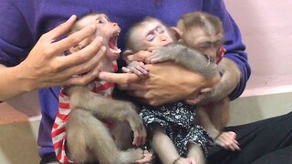 Bad monkey Lai Heang, While mom make up