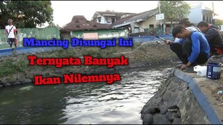 Mancing di Sungai Kecil Ini Ternyata Banyak Ikan Nilemnya