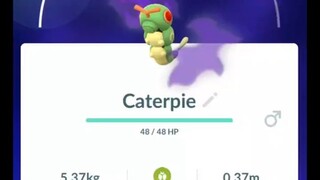 Pokémon GO-Purifying Shadow Caterpie
