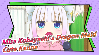 [Miss Kobayashi's Dragon Maid] Kanna Is So Cute, C-U-T-E, Cute!