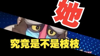 枝枝小朋友案