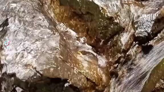 dating secret falls ngayon dina