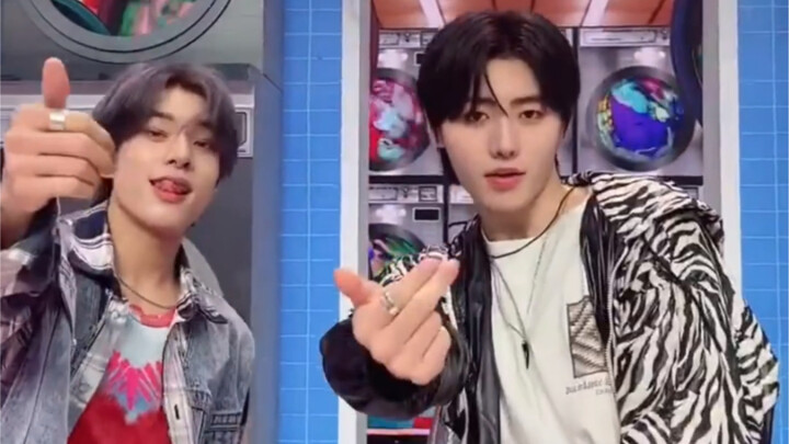 【ENHYPEN】التحديث الأخير على تيك توك | تحدي ParadoXXX Invasion