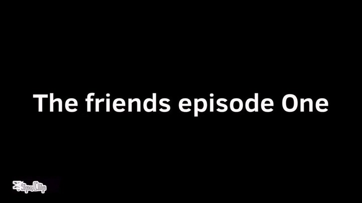 The Friends Season 1Episode 1