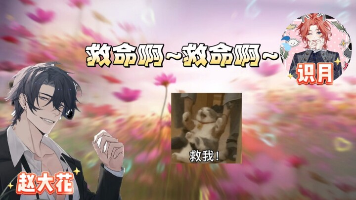 我咋那么爱看大花收拾月月呢哈哈哈哈