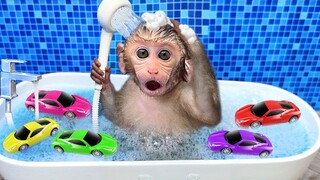 Monkey Baby Bon Bon Bathing In The Bathroom With Eating Watermelon With Ducklings Side Swimming Pool