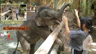 น้องตะวันอยากมีเพื่อนเล่น