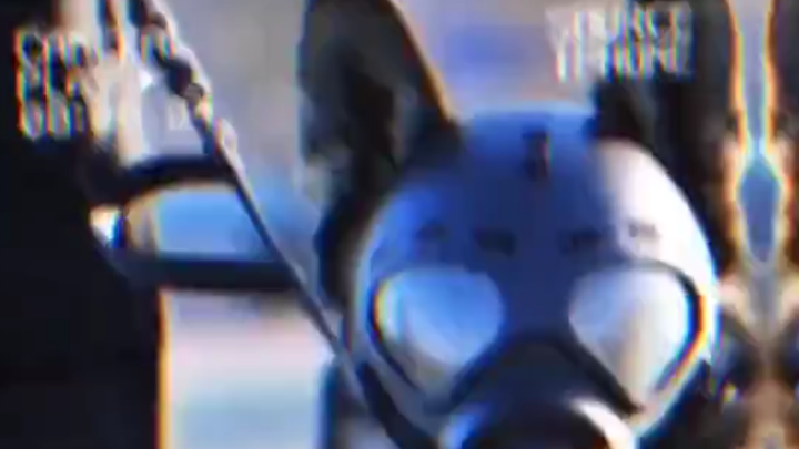 警犬：老子要下班回家！！！