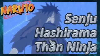 Senju Hashirama Thần Ninja