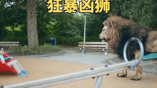 城市闯入一只狂暴雄狮，看见人类就想咬《狂暴凶狮》