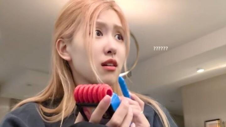 [ROSÉ] My Happy Puppy Vlog Is Finally Updated!