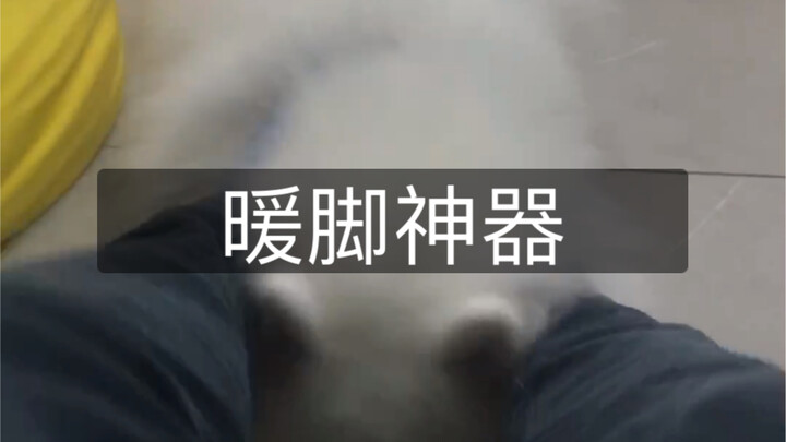 A magical foot warmer for winter—you deserve to have one!