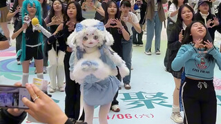 随舞现场！小羊困卡！